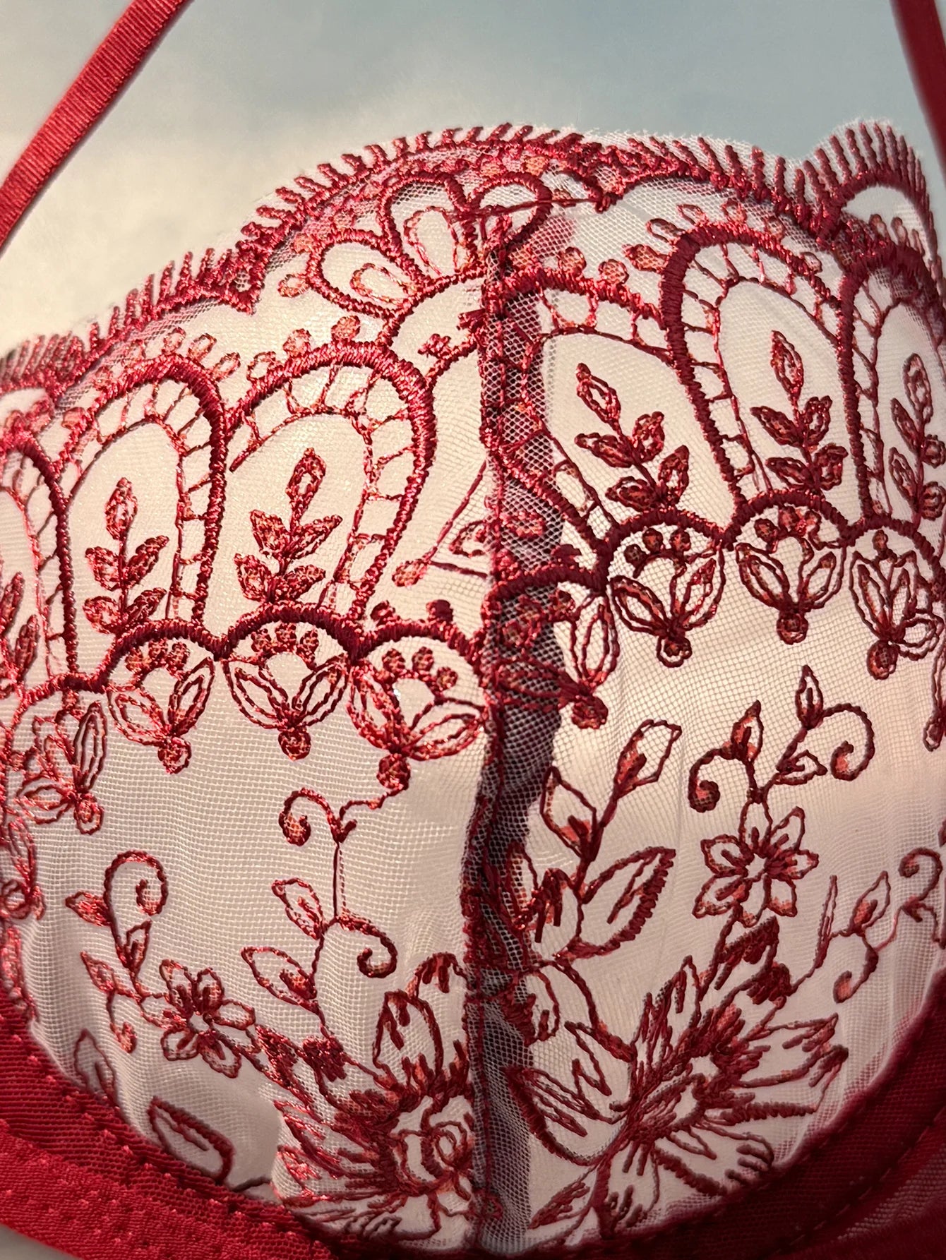 LINCARIE – Embroidered Floral Push-Up Lingerie Set