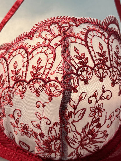 LINCARIE – Embroidered Floral Push-Up Lingerie Set
